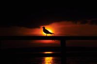 FeWo ostseele - Julchen - B&B Timmendorfer Strand