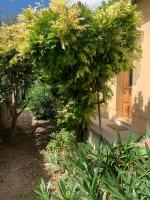 Entre les Alpilles et le Luberon 3 chambres 10 pers - B&B