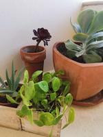 Appartamento con Terrazza