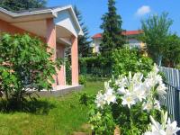Fészek Apartmanház - B&B