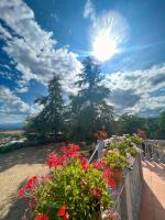 Casa con finca en Pol, Monforte de Lemos - Bed and Breakfast Monforte de Lemos