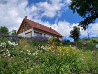 Przygórze - dom w Górach Sowich - B&B