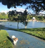 Chalé Refidim - B&B Gravatá