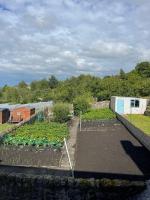 Honeycomb Cottage - B&B Newburgh