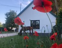 Lovas Udvarház Ezüst Zabla Apartman Piliscsaba - B&B