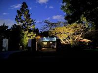 Conifer - B&B