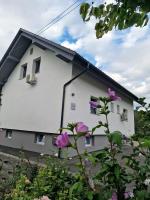 B&B Žirovnica - Aparthouse Jana Breg - Bed and Breakfast Žirovnica