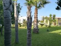 DIMORA SULLA COLLINA - B&B Casarano