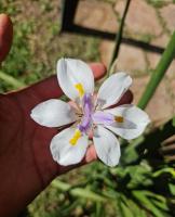 Cabañas La Ponderosa - B&B Villa Ventana