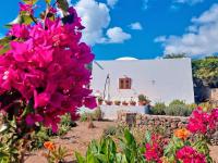 B&B Pantelleria - Dammuso Pantelleria - Fiori D'Ossidiana - Bed and Breakfast Pantelleria