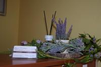 Villa Victoria - B&B Warsaw