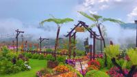 Săn Mây Coffee and Homestay Măng Đen - B&B