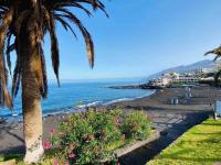 SVA&YA Sunflower In Playa La Arena - B&B