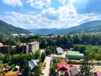 Sinaia Walter 20 Penthouse w. Private Parking - B&B