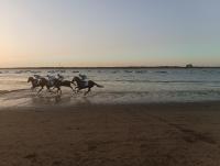 Idalia 19 Atico - Ferienwohnung Sanlúcar de Barrameda