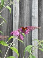 Chambre Lits Jumeaux avec Salle de Bains Commune