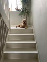 Goodwood, Tangmere, Chichester 10 people - B&B Tangmere