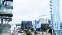 The Luxe City View Romantic Escape - Bed and Breakfast Atlanta