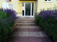 Helles Apartment mit Balkon am Großen Garten nahe Stadtzentrum - Bed and Breakfast Dresden