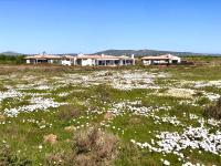 HIDDEN GEM A unique Golf Estate and Game Reserve north facing 6 sleeper 3 en suite bedrooms with 12m Solar Warmed Lap Pool - B&B Langebaan