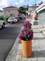 Cosy T3 au coeur de Sainte Anne - B&B Sainte-Anne