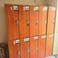 Bunk Bed in Mixed Dormitory Room