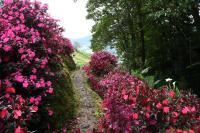 Suite mit Gartenblick