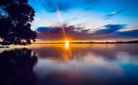 Harbour View Motel and Waterfront Apartments - Ferienwohnung Tauranga