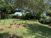LA PATISSERIE - Chambres d’hôtes Saint-Sauveur-de-Cruzières
