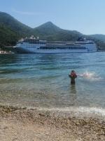 Perfect Place - Djenovici - B&B Herceg Novi