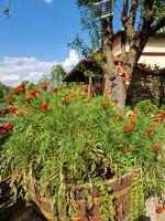 Huis met 4 Slaapkamers