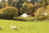 Garn Lodge - Chambres d’hôtes Newtown