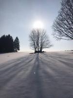 Huis met 2 Slaapkamers