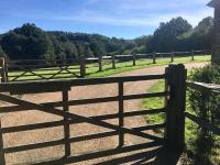 The Annex is in the beautiful Ashdown Forest - B&B Crowborough