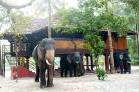 B&B Alappuzha - Elephant Courtyard- A Heritage Homestay - Bed and Breakfast Alappuzha