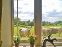 B&B Yatton Keynell - Battens Farm Cottages B&B - Bed and Breakfast Yatton Keynell