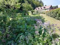 LA CLIMONTAINE - Ferienwohnung