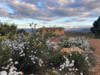 Chalet met 2 Slaapkamers