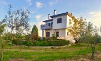 Olive View Cottage in Pelion - B&B Platanidia
