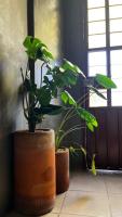 CASA PATO - B&B