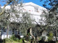 B&B Formia - B&B Villa Ada - Bed and Breakfast Formia