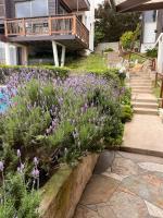 Blumen Hotel - B&B Concón