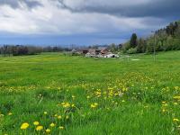 Bauernhof Dieing - Bed and Breakfast