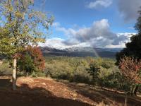 Morning Star Vista near Yosemite - countryside with mountain views - Chambres d'hôtes Mariposa