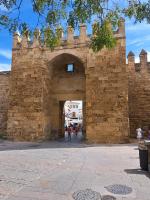 Apartamento la Marquesa - Chambres d’hôtes Cordoue