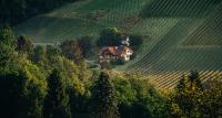 Apartment direkt am Weingut Garber - B&B Etzendorf