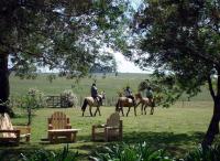 Estancia Aguila Blanca - Bed and Breakfast Polanco Norte