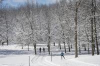 Apartamento de 2 dormitorios
