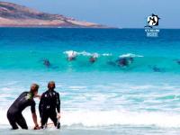 A Beautiful Property, Walking Distance to the Beach in Esperance WA! - Chambres d'hôtes Esperance