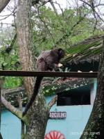Sítio Conquista Feliz - Bed and Breakfast Nova Iguaçu